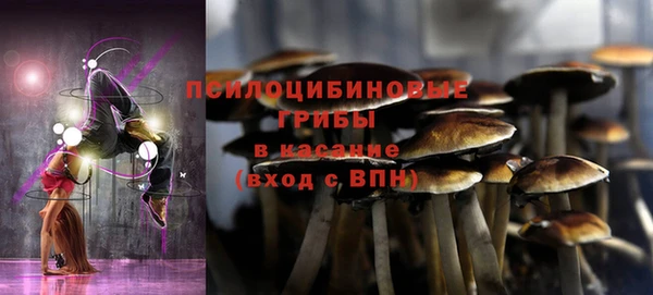 дживик Белоозёрский