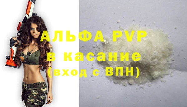 гашик Белокуриха