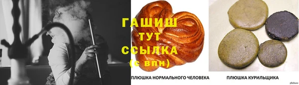 гашик Белокуриха