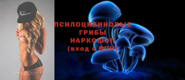 дживик Белоозёрский