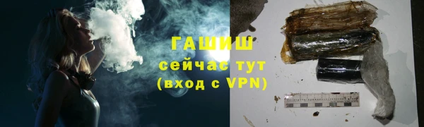 гашик Белокуриха