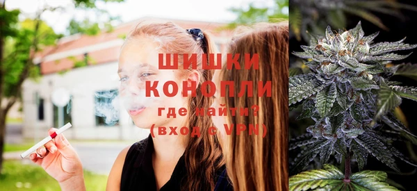 гашик Белокуриха