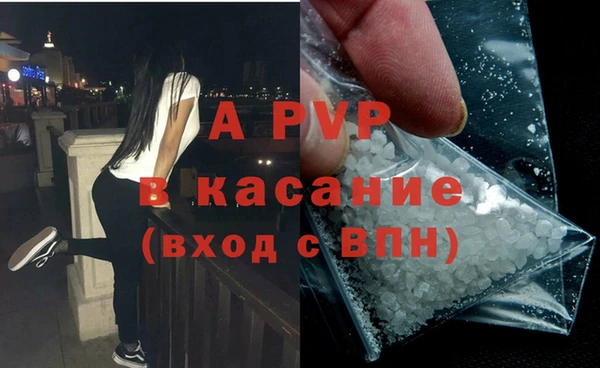 гашик Белокуриха