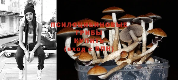 дживик Белоозёрский