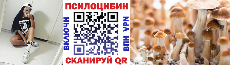 Купить закладки  Лангепас  Галлюциногенные грибы MAGIC MUSHROOMS 